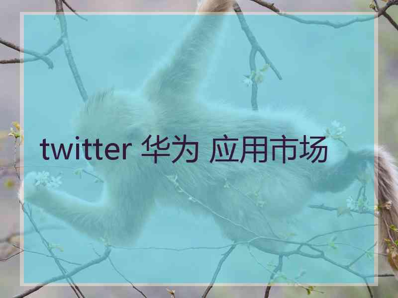 twitter 华为 应用市场