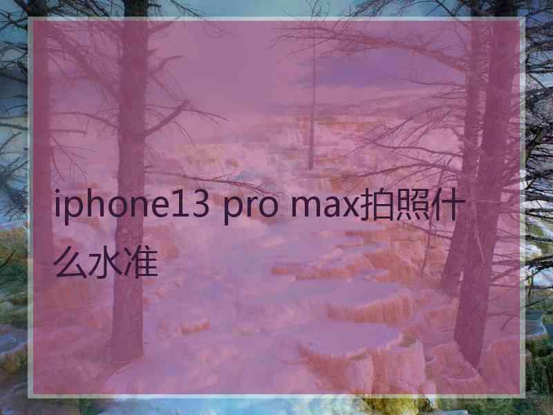 iphone13 pro max拍照什么水准