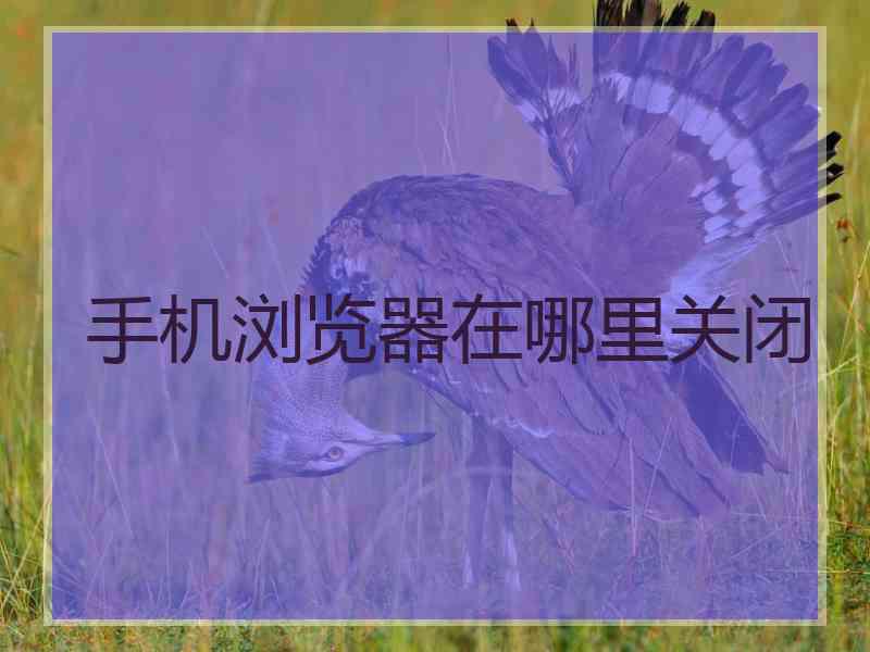 手机浏览器在哪里关闭