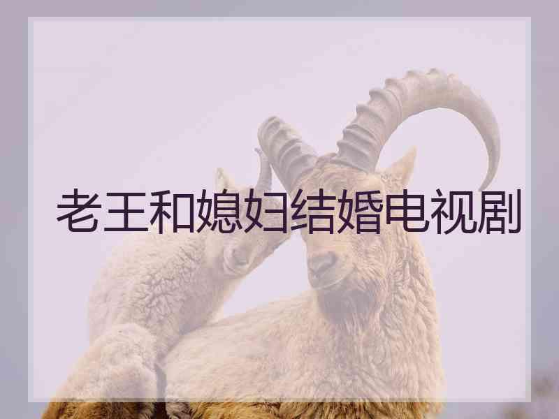 老王和媳妇结婚电视剧