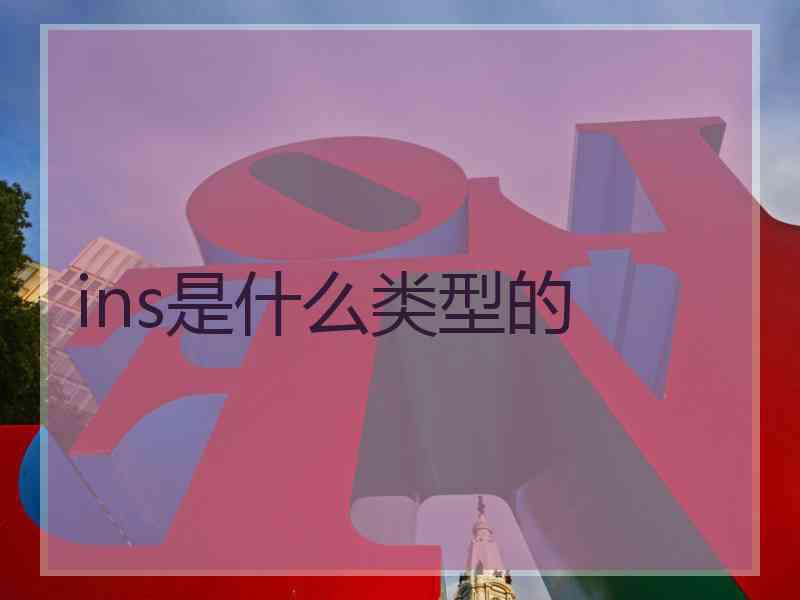 ins是什么类型的