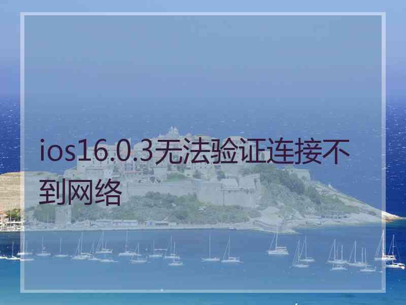 ios16.0.3无法验证连接不到网络