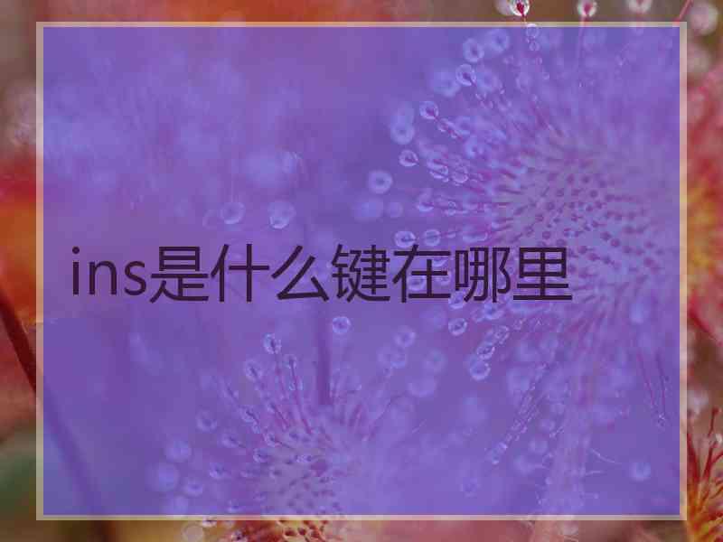 ins是什么键在哪里