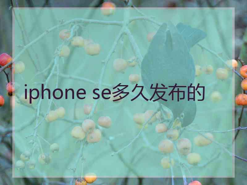 iphone se多久发布的
