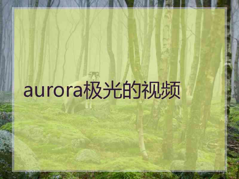 aurora极光的视频