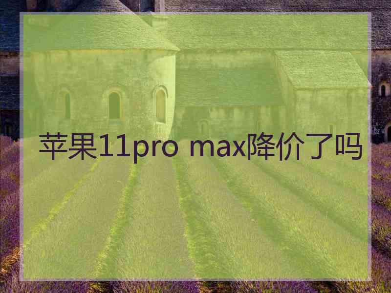 苹果11pro max降价了吗