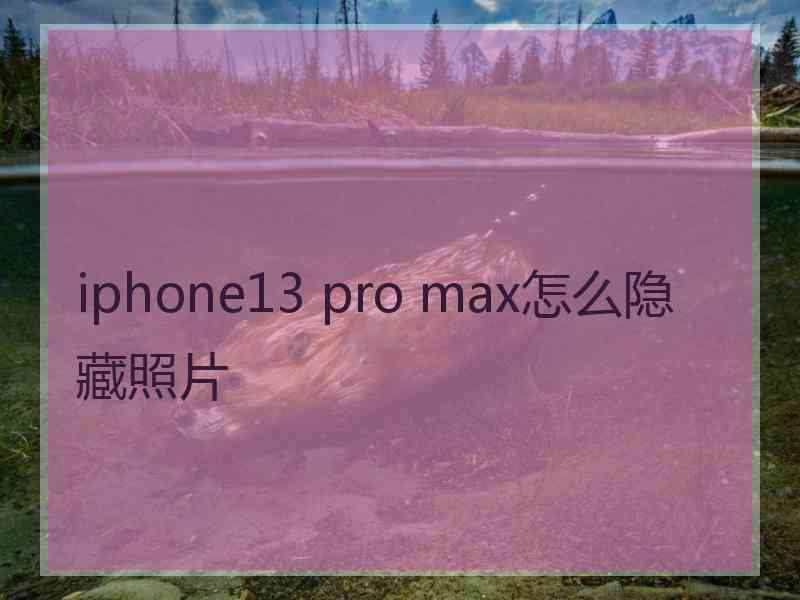 iphone13 pro max怎么隐藏照片