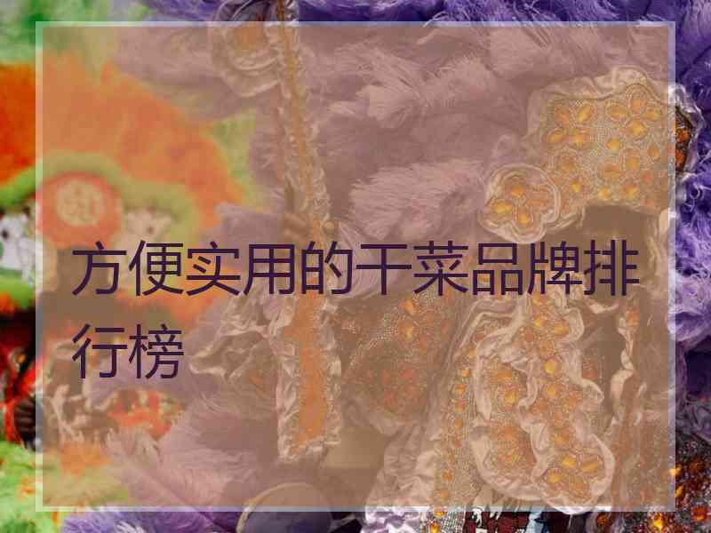方便实用的干菜品牌排行榜