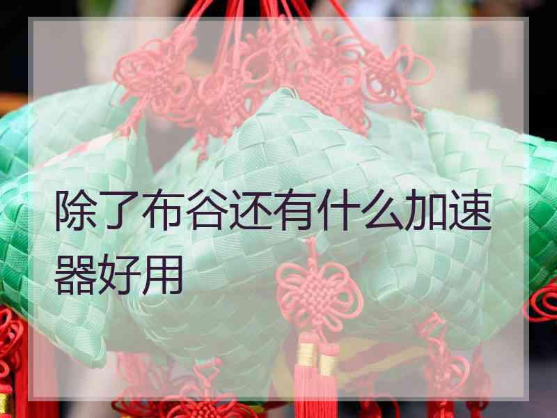 除了布谷还有什么加速器好用