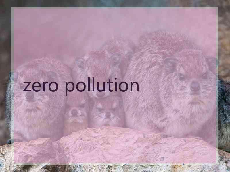 zero pollution