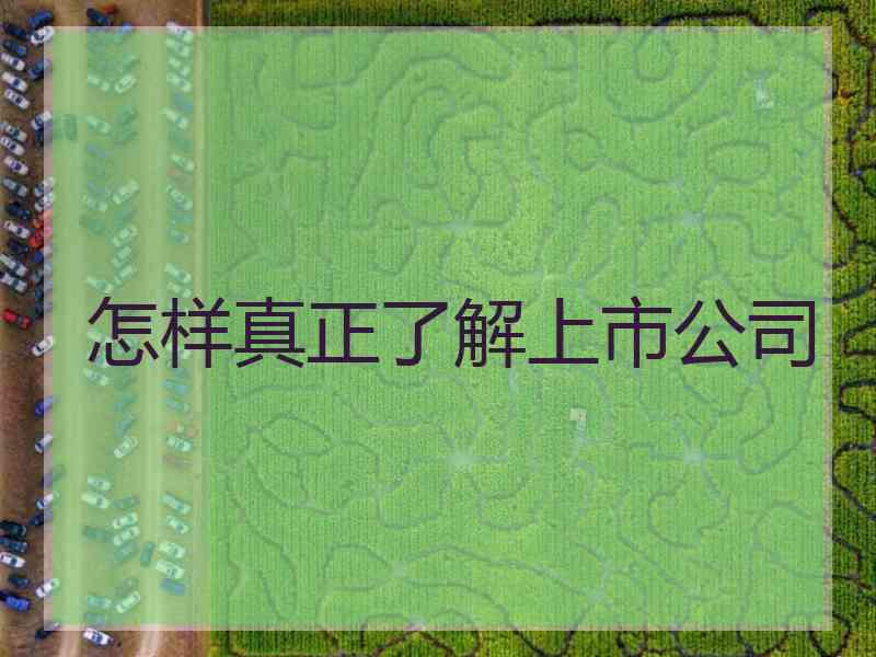 怎样真正了解上市公司