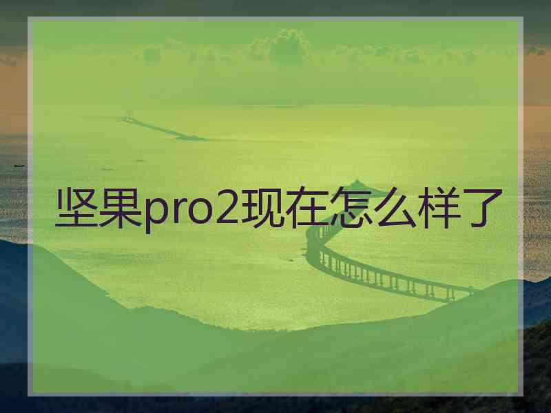 坚果pro2现在怎么样了