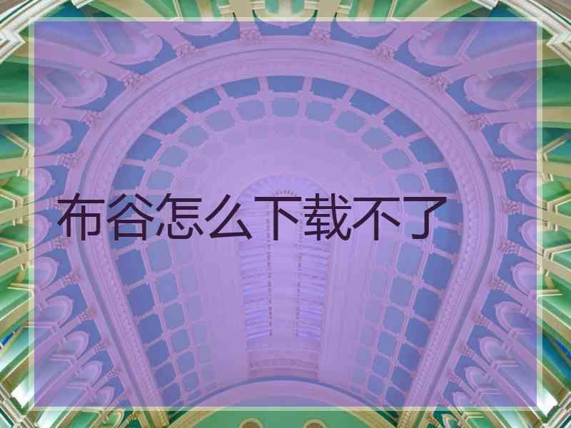 布谷怎么下载不了