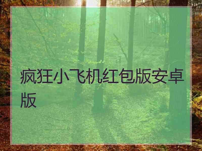 疯狂小飞机红包版安卓版