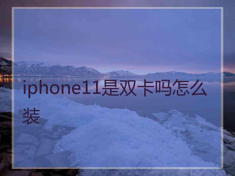 iphone11是双卡吗怎么装