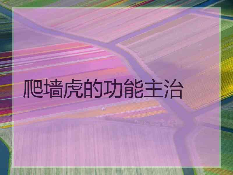 爬墙虎的功能主治