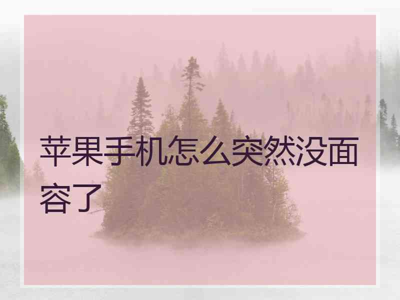 苹果手机怎么突然没面容了