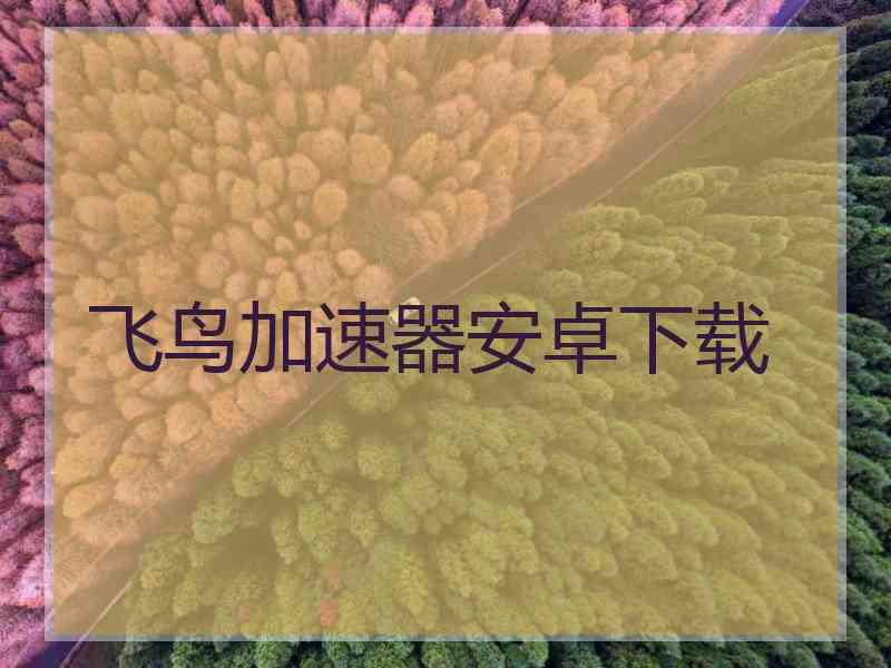 飞鸟加速器安卓下载