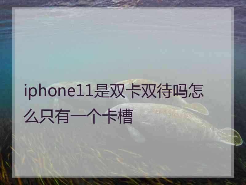 iphone11是双卡双待吗怎么只有一个卡槽