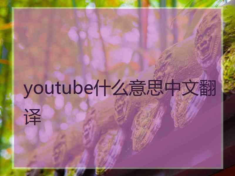 youtube什么意思中文翻译