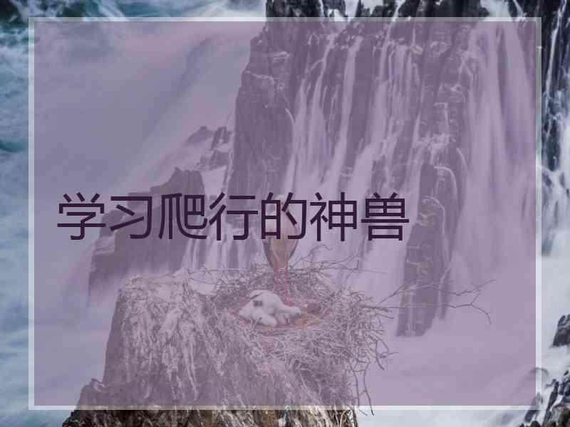 学习爬行的神兽