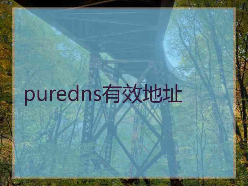 puredns有效地址