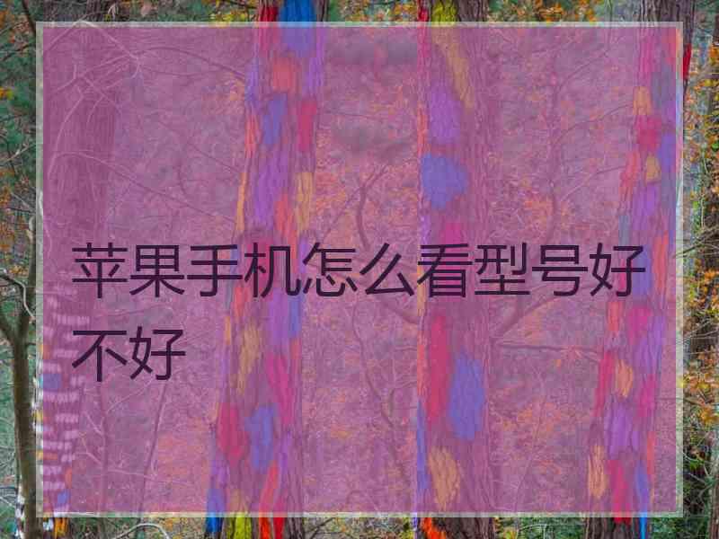 苹果手机怎么看型号好不好