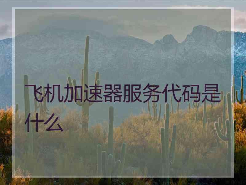 飞机加速器服务代码是什么