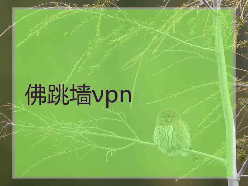 佛跳墙νpn