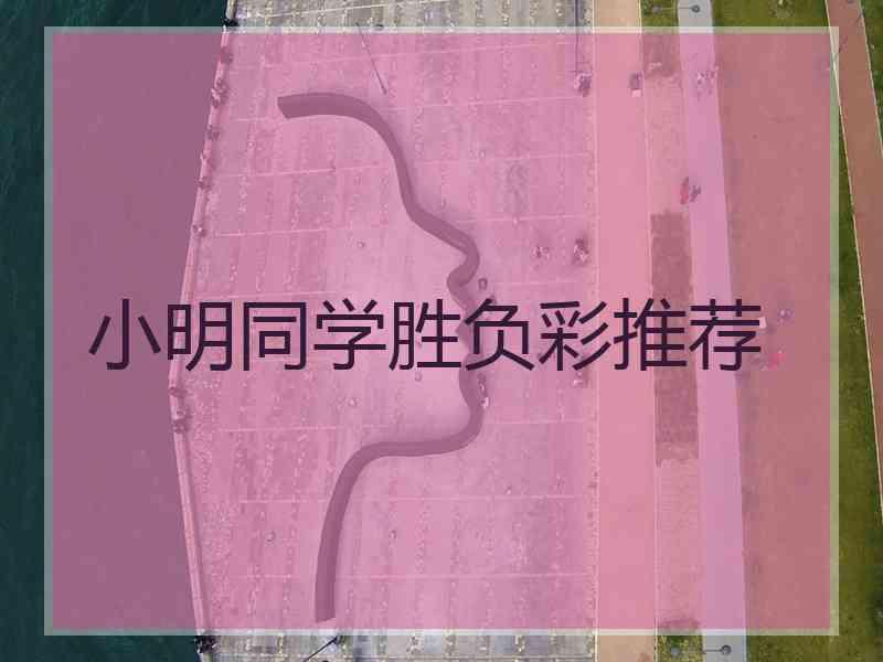 小明同学胜负彩推荐
