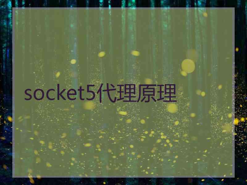 socket5代理原理