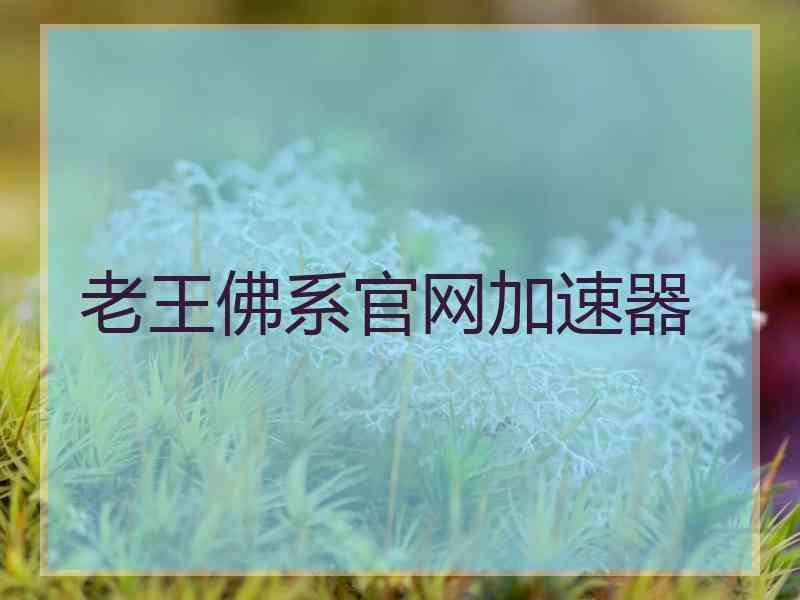 老王佛系官网加速器