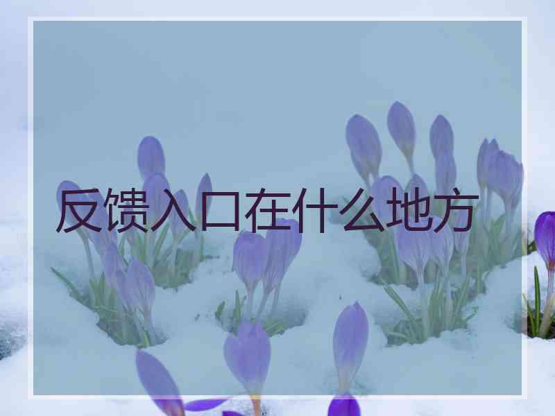 反馈入口在什么地方