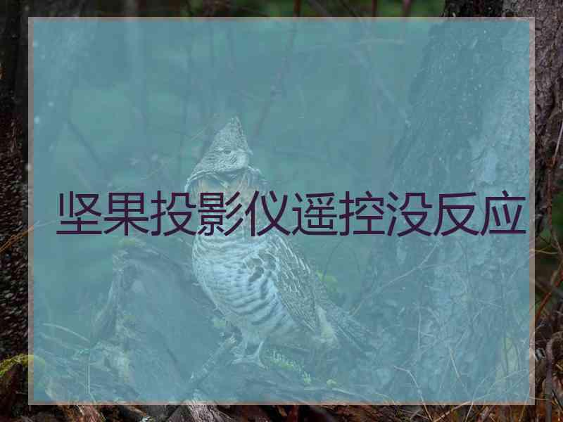 坚果投影仪遥控没反应