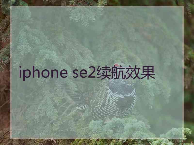 iphone se2续航效果