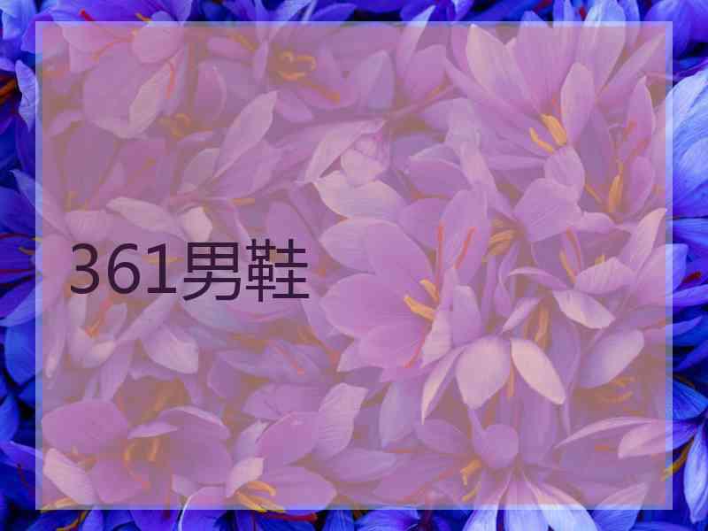 361男鞋