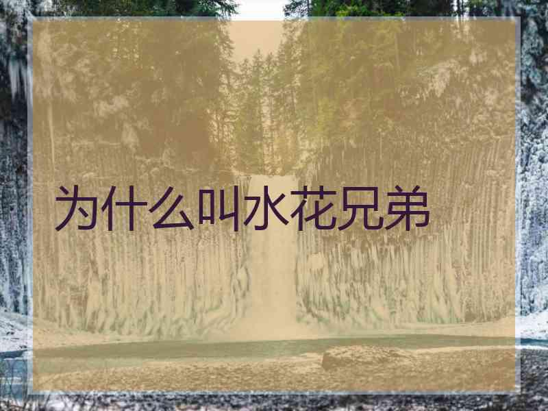 为什么叫水花兄弟