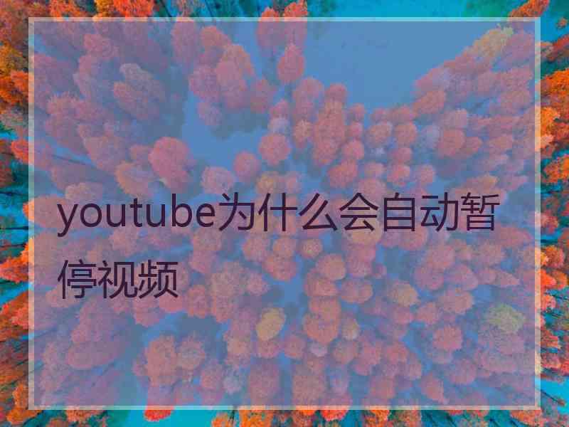 youtube为什么会自动暂停视频