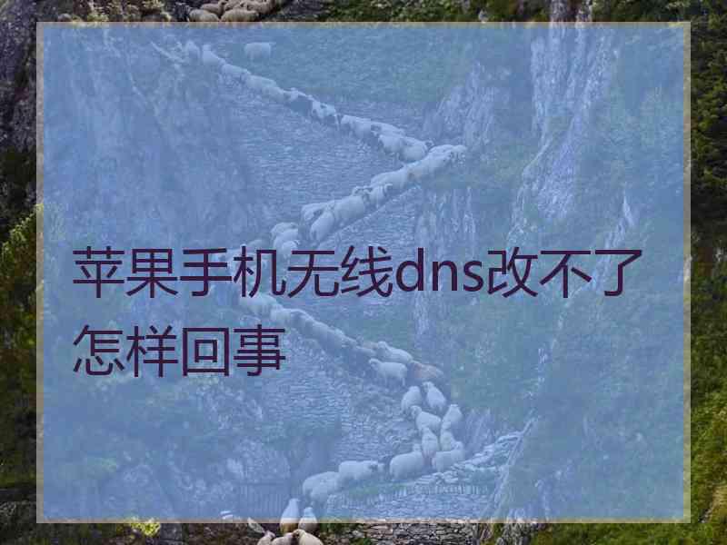 苹果手机无线dns改不了怎样回事