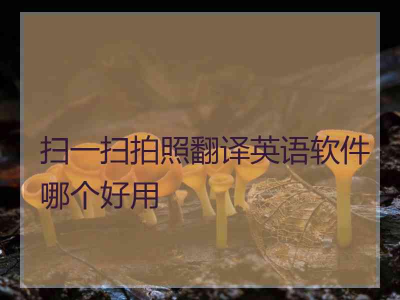 扫一扫拍照翻译英语软件哪个好用