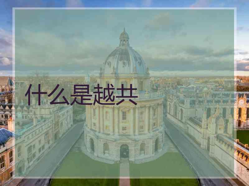 什么是越共