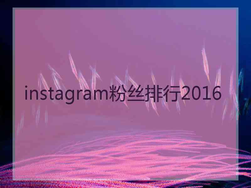 instagram粉丝排行2016