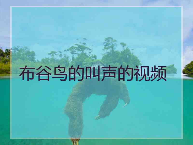 布谷鸟的叫声的视频