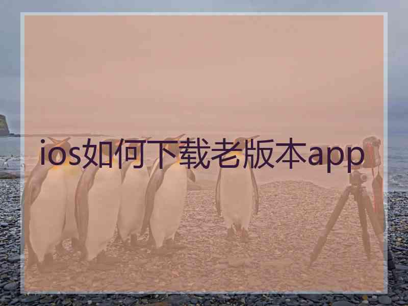 ios如何下载老版本app