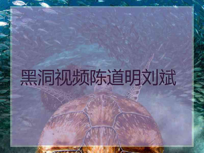 黑洞视频陈道明刘斌