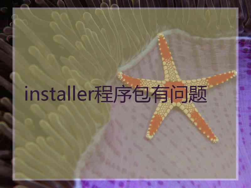 installer程序包有问题