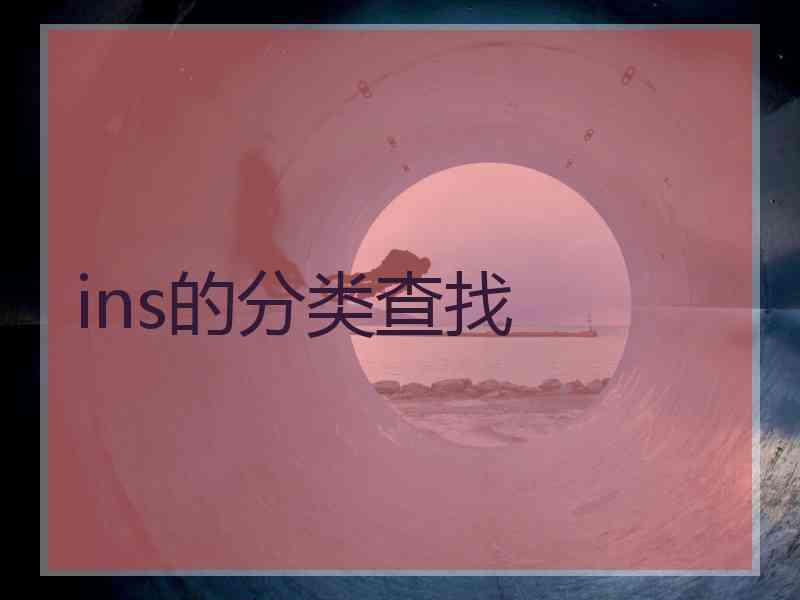 ins的分类查找