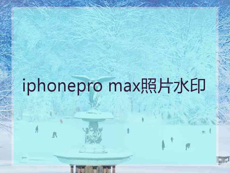 iphonepro max照片水印