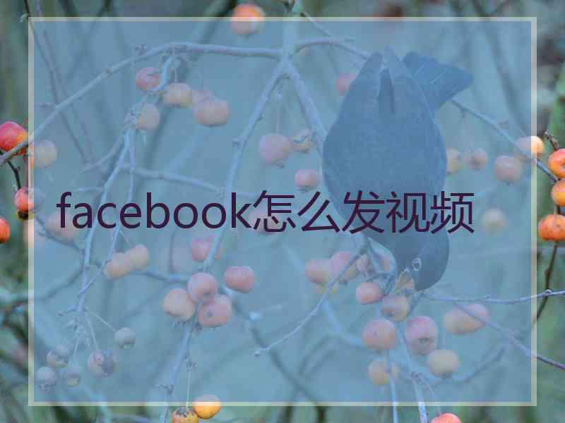 facebook怎么发视频