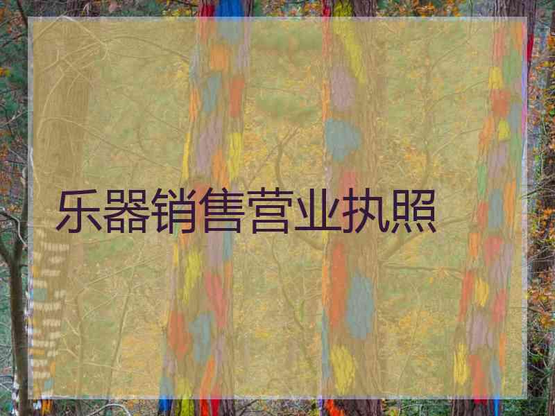 乐器销售营业执照